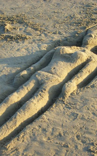 messages in the sand